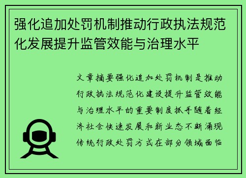 强化追加处罚机制推动行政执法规范化发展提升监管效能与治理水平 强化追加处罚机制推动行政执法规范化发展提升监管效能与治理水平
